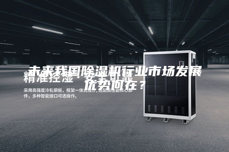 未來(lái)我國(guó)除濕機(jī)行業(yè)市場(chǎng)發(fā)展優(yōu)勢(shì)何在？