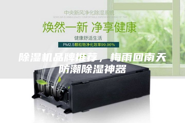 除濕機品牌推薦，梅雨回南天防潮除濕神器