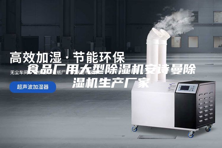 食品廠用大型除濕機安詩曼除濕機生產(chǎn)廠家