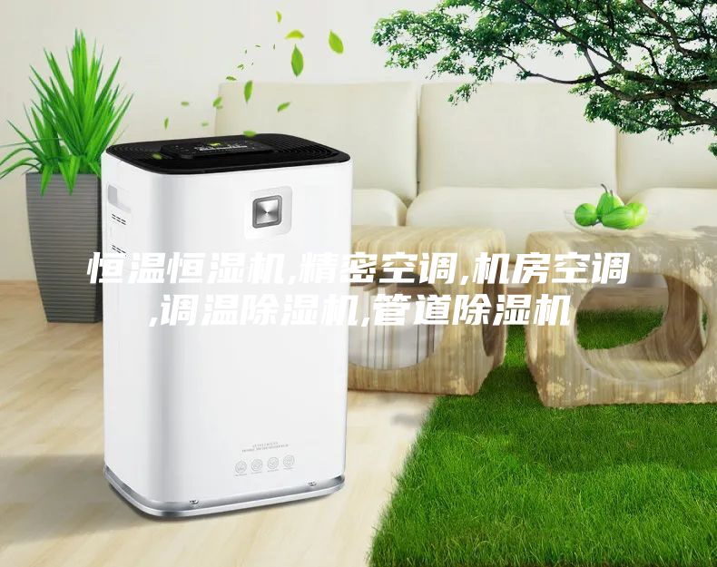 恒溫恒濕機,精密空調(diào),機房空調(diào),調(diào)溫除濕機,管道除濕機