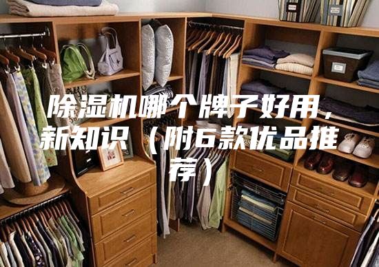 除濕機哪個牌子好用，新知識（附6款優(yōu)品推薦）