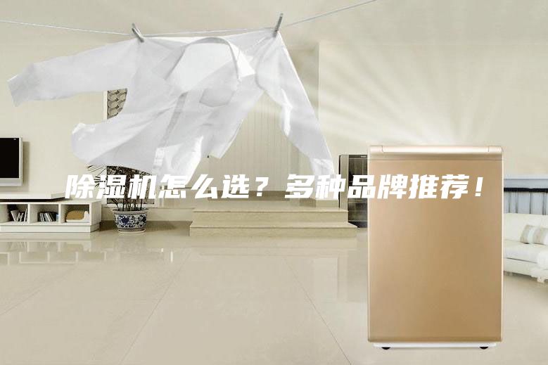 除濕機怎么選？多種品牌推薦！