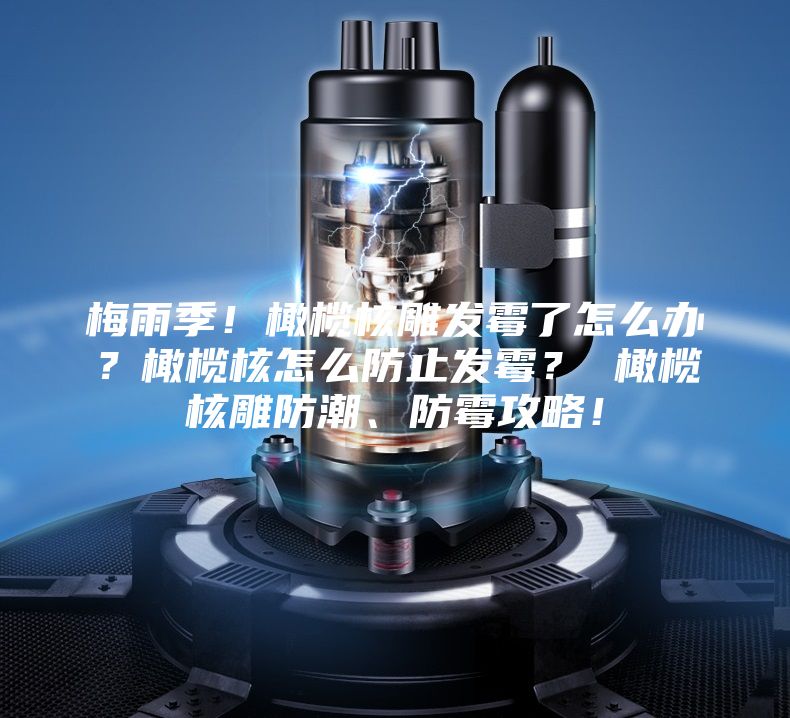 梅雨季！橄欖核雕發(fā)霉了怎么辦？橄欖核怎么防止發(fā)霉？ 橄欖核雕防潮、防霉攻略！