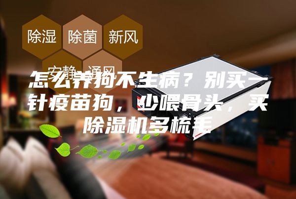 怎么養(yǎng)狗不生??？別買一針疫苗狗，少喂骨頭，買除濕機(jī)多梳毛