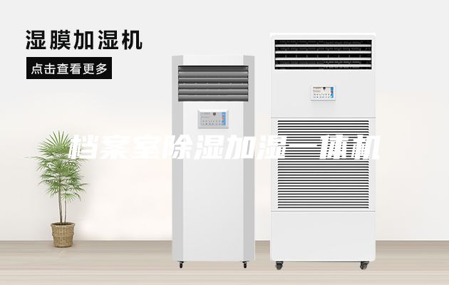 檔案室除濕加濕一體機(jī)