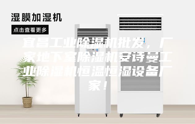 宜昌工業(yè)除濕機批發(fā)，廠家地下室除濕機安詩曼工業(yè)除濕機恒溫恒濕設(shè)備廠家！