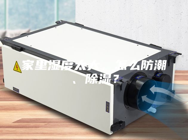 家里濕度太大，怎么防潮、除濕？