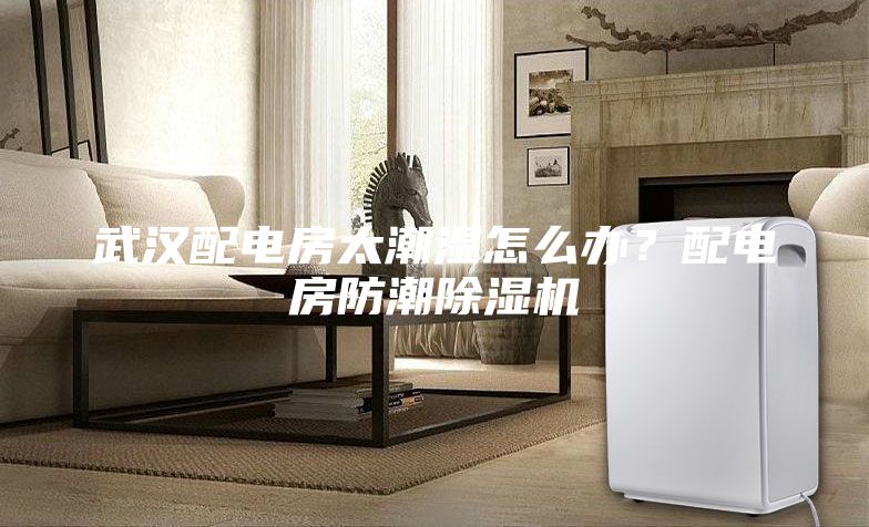 武漢配電房太潮濕怎么辦？配電房防潮除濕機(jī)