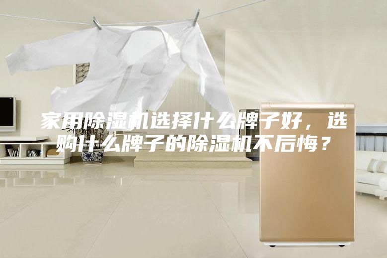 家用除濕機(jī)選擇什么牌子好，選購(gòu)什么牌子的除濕機(jī)不后悔？