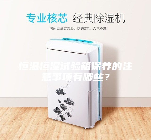 恒溫恒濕試驗(yàn)箱保養(yǎng)的注意事項(xiàng)有哪些？