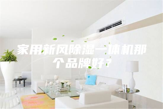 家用新風(fēng)除濕一體機(jī)那個(gè)品牌好？