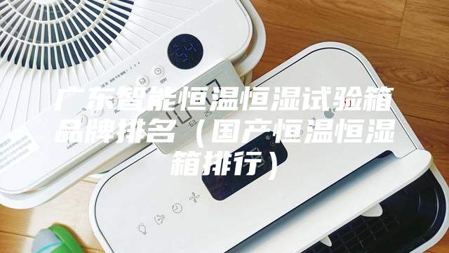 廣東智能恒溫恒濕試驗箱品牌排名（國產(chǎn)恒溫恒濕箱排行）