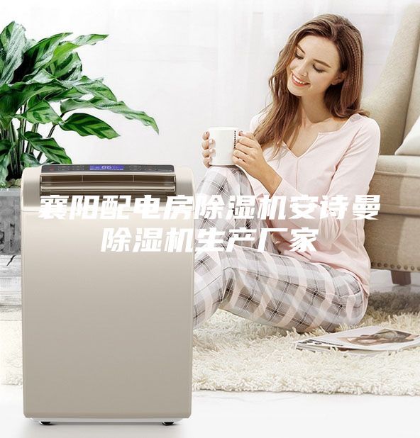 襄陽配電房除濕機(jī)安詩曼除濕機(jī)生產(chǎn)廠家