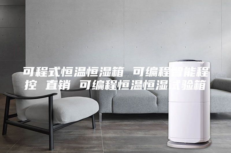 可程式恒溫恒濕箱 可編程智能程控 直銷 可編程恒溫恒濕試驗箱