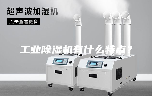 工業(yè)除濕機(jī)有什么特點(diǎn)？