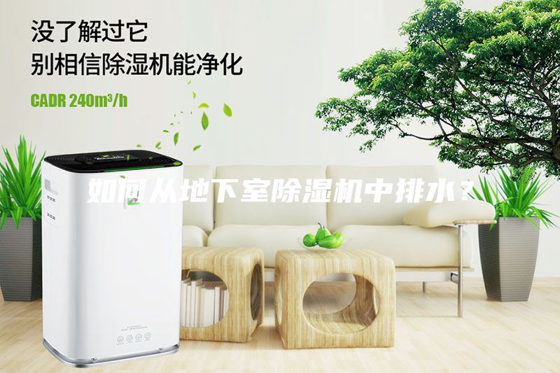 如何從地下室除濕機中排水？
