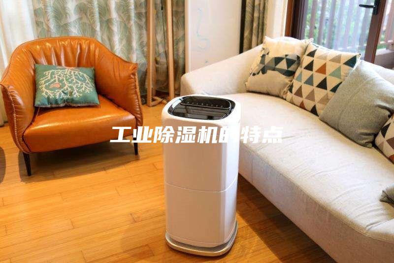 工業(yè)除濕機(jī)的特點(diǎn)