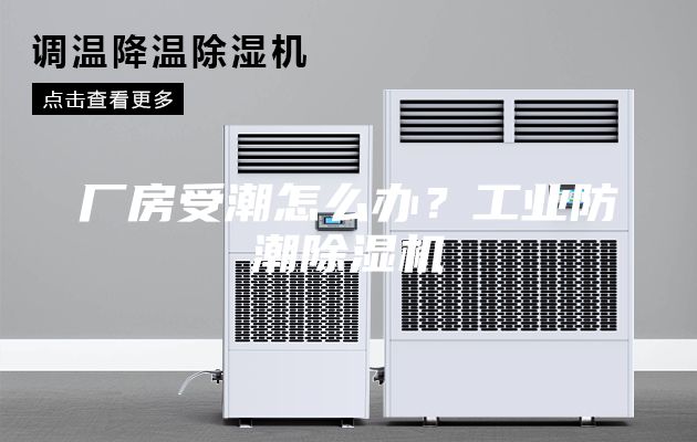 廠房受潮怎么辦？工業(yè)防潮除濕機(jī)