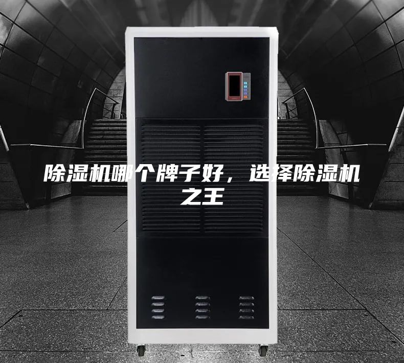 除濕機(jī)哪個(gè)牌子好，選擇除濕機(jī)之王
