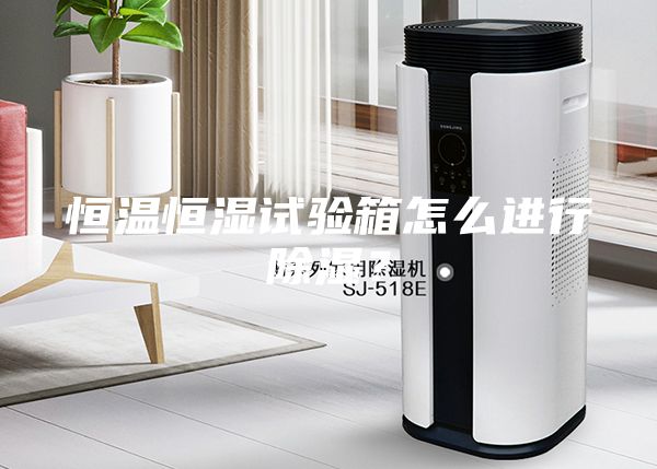 恒溫恒濕試驗箱怎么進行除濕？