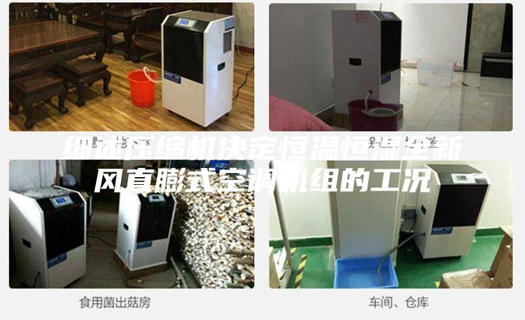 細述壓縮機決定恒溫恒濕全新風(fēng)直膨式空調(diào)機組的工況