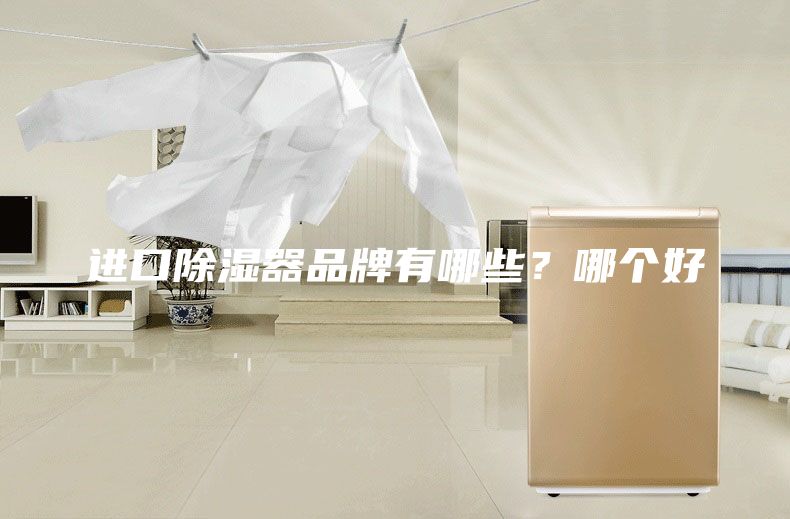 進(jìn)口除濕器品牌有哪些？哪個(gè)好