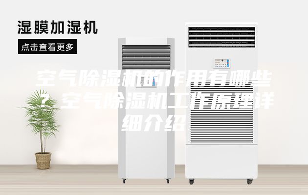 空氣除濕機(jī)的作用有哪些？空氣除濕機(jī)工作原理詳細(xì)介紹