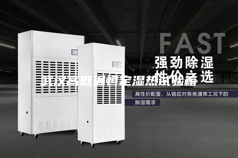 武漢高低溫恒定濕熱試驗(yàn)箱
