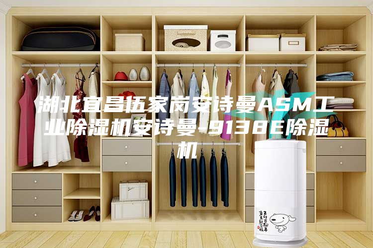 湖北宜昌伍家崗安詩曼ASM工業(yè)除濕機(jī)安詩曼-9138E除濕機(jī)