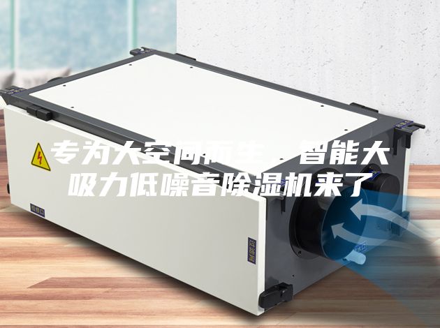 專為大空間而生，智能大吸力低噪音除濕機(jī)來了