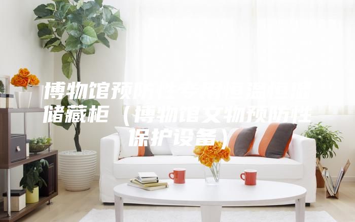 博物館預(yù)防性專用恒溫恒濕儲藏柜（博物館文物預(yù)防性保護(hù)設(shè)備）