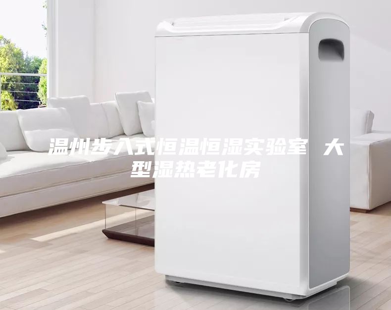 溫州步入式恒溫恒濕實(shí)驗(yàn)室 大型濕熱老化房