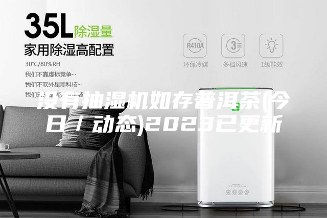 沒有抽濕機如存普洱茶(今日／動態(tài))2023已更新