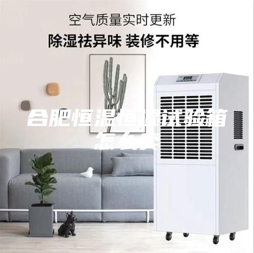 合肥恒溫恒濕試驗(yàn)箱怎么賣