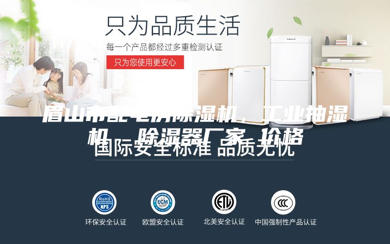 眉山市配電房除濕機(jī)，工業(yè)抽濕機(jī)  除濕器廠家 價(jià)格