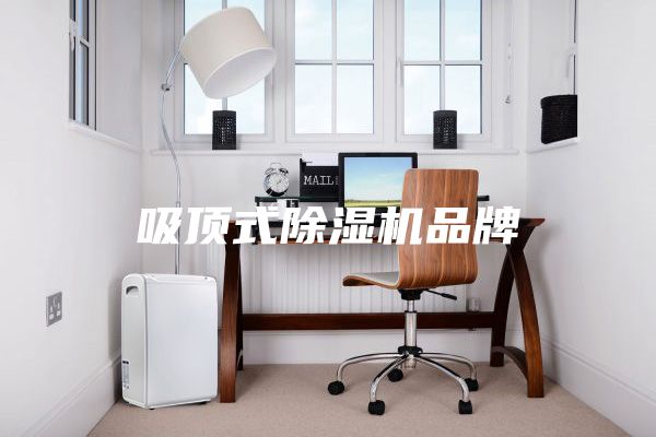 吸頂式除濕機(jī)品牌