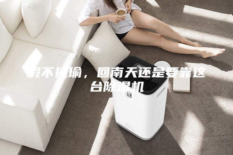 瑕不掩瑜，回南天還是要靠這臺(tái)除濕機(jī)