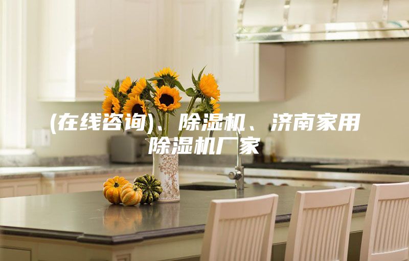 (在線咨詢)、除濕機(jī)、濟(jì)南家用除濕機(jī)廠家