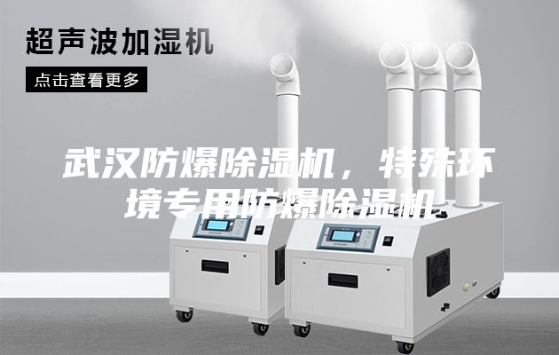 武漢防爆除濕機(jī)，特殊環(huán)境專用防爆除濕機(jī)