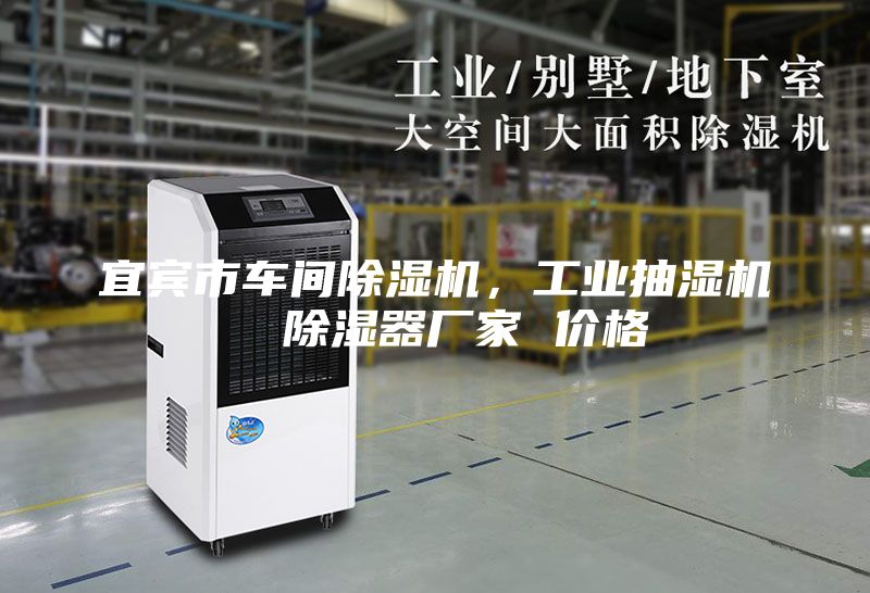 宜賓市車間除濕機(jī)，工業(yè)抽濕機(jī)  除濕器廠家 價(jià)格