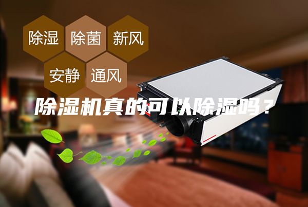 除濕機(jī)真的可以除濕嗎？