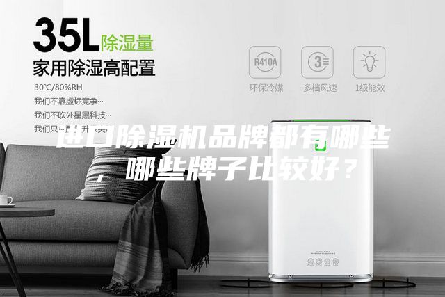進(jìn)口除濕機(jī)品牌都有哪些，哪些牌子比較好？