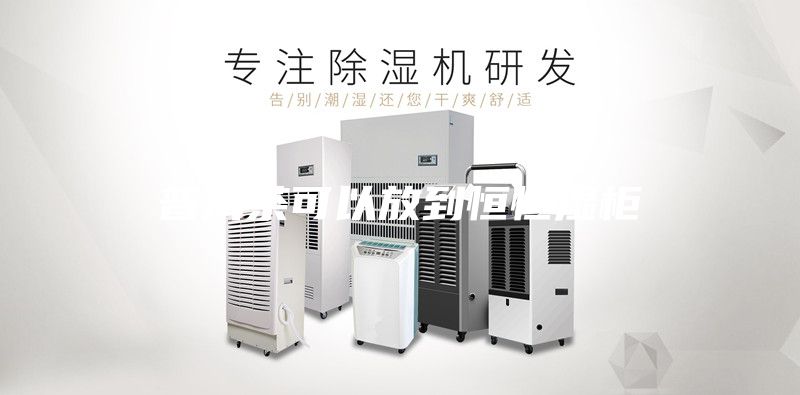普洱茶可以放到恒恒濕柜