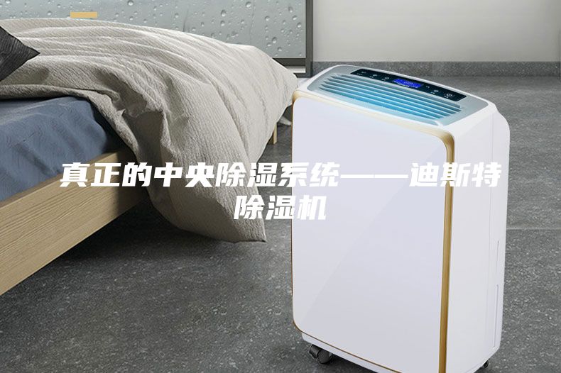 真正的中央除濕系統(tǒng)——迪斯特除濕機(jī)