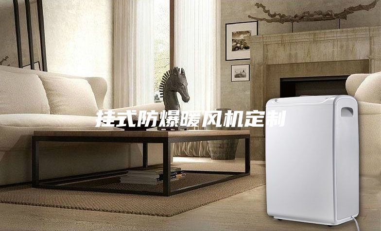 掛式防爆暖風(fēng)機(jī)定制