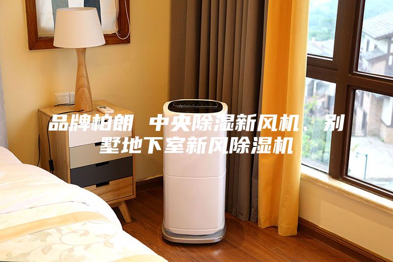 品牌柏朗 中央除濕新風(fēng)機(jī)、別墅地下室新風(fēng)除濕機(jī)