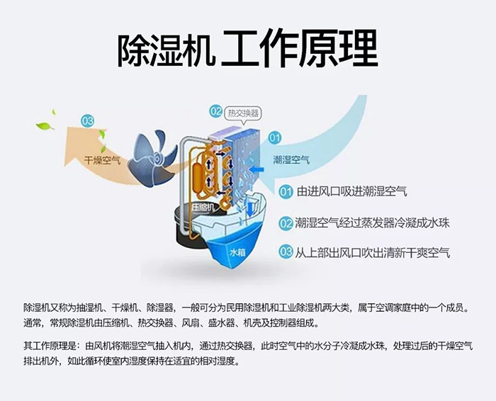 木質(zhì)家具如何防潮防霉，安詩曼給您支招