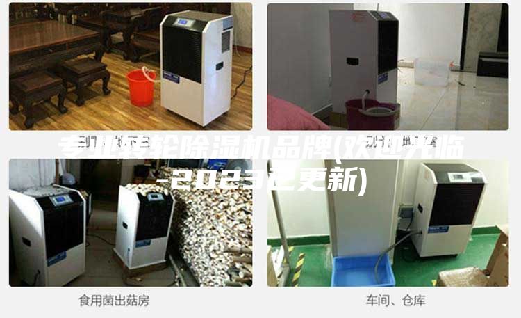 專業(yè)轉(zhuǎn)輪除濕機(jī)品牌(歡迎光臨-2023已更新)