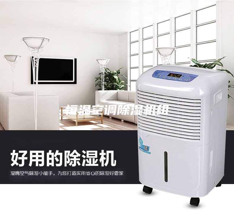 恒溫空調(diào)除濕機組