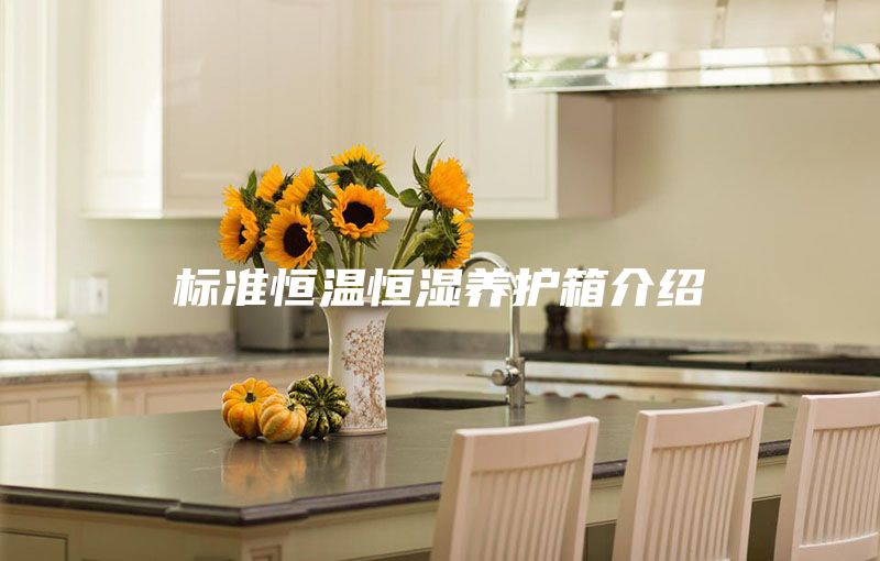 標準恒溫恒濕養(yǎng)護箱介紹